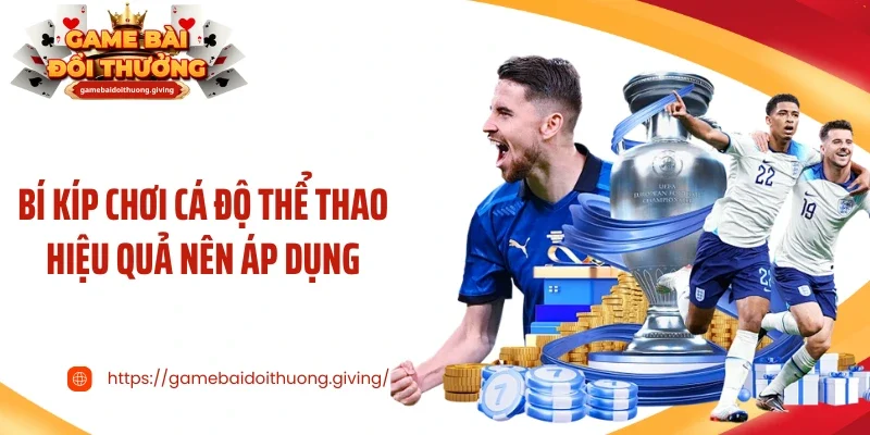 Bí kíp chơi cá độ thể thao hiệu quả nên áp dụng